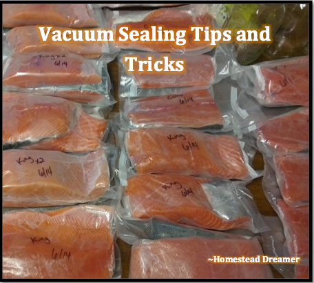 15 Best Ways To Vacuum Seal Food: Tips And Tricks