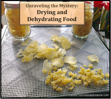http://www.homesteaddreamer.com/wp-content/uploads/2014/11/Dryig_and_dehydrating_Food.png